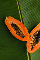 Papaya slices